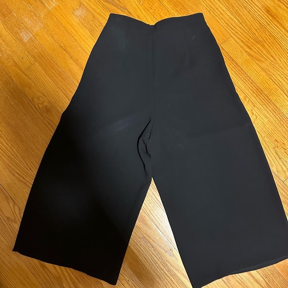 Aritzia Babaton Lazarus Culottes - Picture 2 of 4